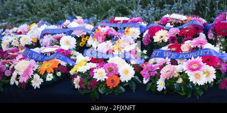 Remembrance day wreaths, least we forget, with Rosemary background, banner heading Stock Photo