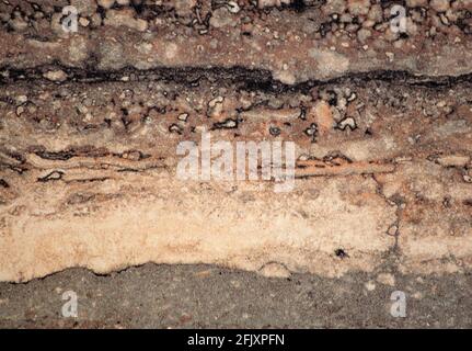 Close-up of dark brown sandstone, layered porous structure of natural stone. Background, pattern, texture. Stock Photo