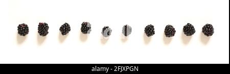 Ten blackberries on an isolated white background. Social distance concept. Stock Photo
