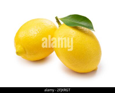 Two lemons placed on a white background Stock Photo