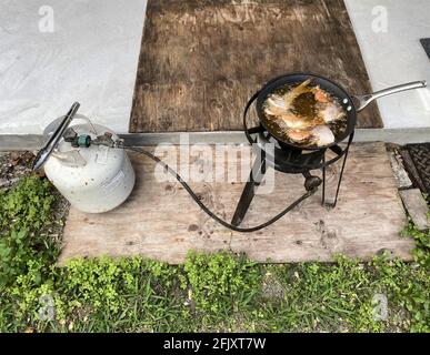 Frying fish in a frying pan with oil in an outdoor setting, for dinner. A propane tank is used to heat the oil and cook the trout. Stock Photo