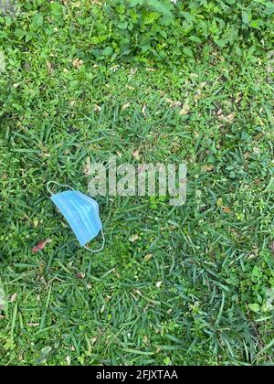 Used face medical mask from a coronavirus patient left on grass in the park spreading germs and viruses infection harming people's respiratory system. Stock Photo