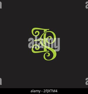 letter es curves green ribbon logo vector Stock Vector