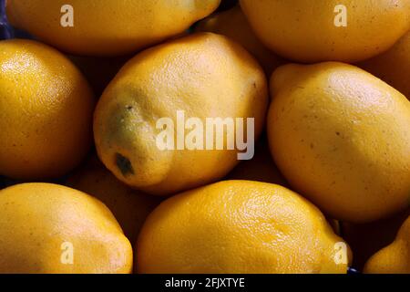 A closeup of a bunch of lemons. Lemon background. Macro shot Stock Photo