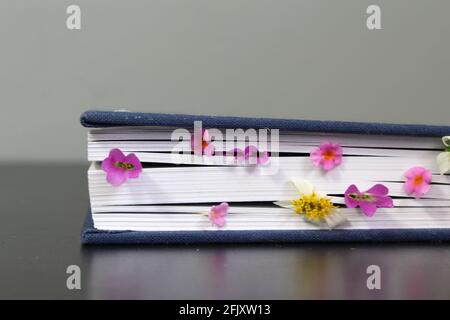 Book with flowers between pages on a black surface table and a gray background with copy space Stock Photo