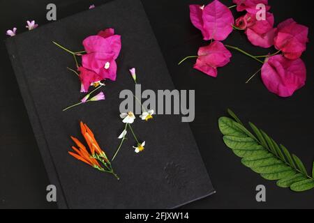Messy wild flowers on old vintage book on a black background with a stem of a green leaf branch. Bougainvillea fire bush Spanish needles & green leaf Stock Photo