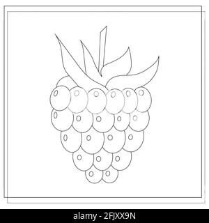 Page of the coloring book, raspberry. sketch. Coloring book for kids. Vector illustration isolated on a white background Stock Vector