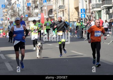 Non Exclusive: KYIV, UKRAINE - APRIL 25, 2021 - An athlete runs with the dog during the Kyiv Euro Marathon 2021 taking place in Kyiv, capital of Ukrai Stock Photo