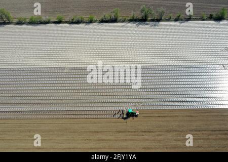 Shuanghe, China. 26th Apr, 2021. The 770,000 acres of cotton fields complete seed sowing in Shuanghe, Xinjiang, China on 26th April, 2021.(Photo by TPG/cnsphotos) Credit: TopPhoto/Alamy Live News Stock Photo