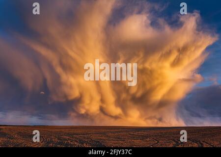 Mammatus clouds at sunset, dramatic storm clouds Stock Photo