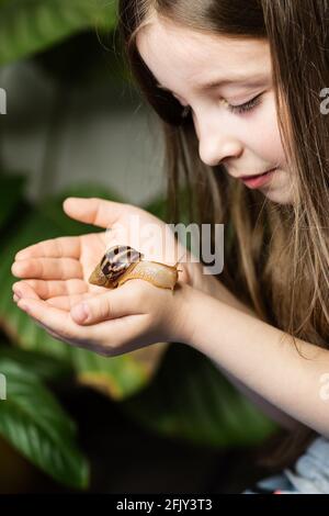 Little girl looking at snail achatina on her hands. Exotic pet. Concept of exploring the world and exploring wildlife Stock Photo