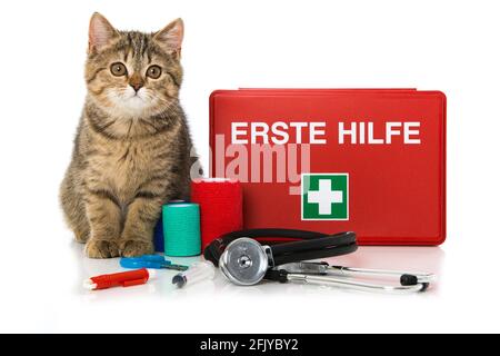 Kitten with first aid kit isolated on white Stock Photo