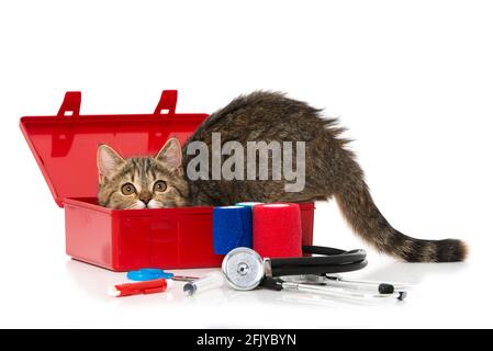 Kitten with first aid kit isolated on white Stock Photo