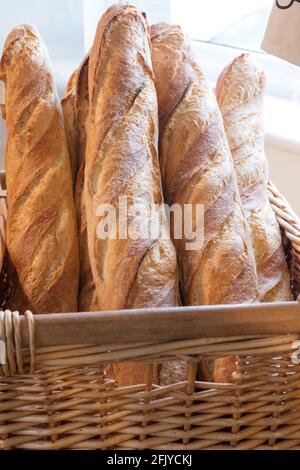 Basket of freshly baked baguettes in bakery Stock Photo
