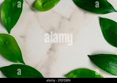 Flat lay composition with tropical leaves and space for text on marble background. Tropical greenery frame. Stock Photo