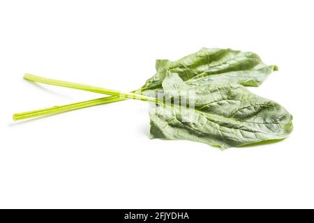 Green spinach leaves isolated on white background. Stock Photo