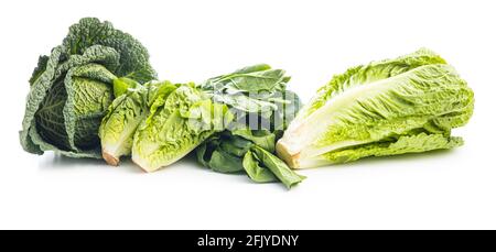 Different types of green vegetables isolated on white background. Stock Photo