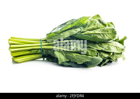 Bunch of green spinach leaves isolated on white background. Stock Photo