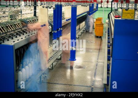 Making cotton thread from raw cotton in Textile Spinning unit. Stock Photo