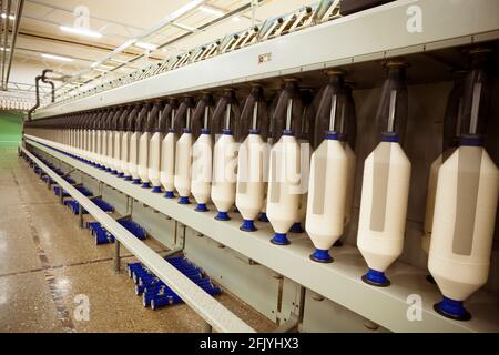 Making cotton thread from raw cotton in Textile Spinning unit. Stock Photo