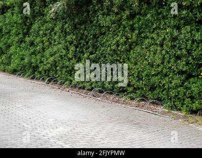 Outdoor public Bicycle parking isolated in a park in Italy Stock Photo