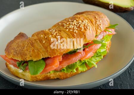 croissant sandwich with salmon, ricotta cheese and arugula on a plate on a dark background. Side view close up. Stock Photo