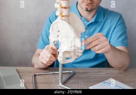 Close up of male doctor's hand showing asis anterior superior illiac spine on skeleton spine model Stock Photo