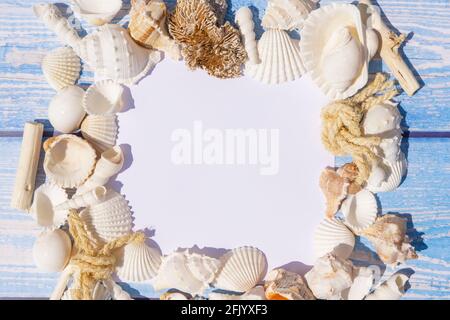 Top view of white paper card for photo or lettering with seashells and starfish on blue wooden background. Summer vacation concept.  Stock Photo