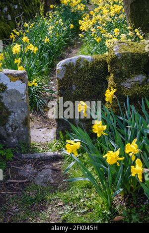 Alstonefield, Staffordshire, GB, United Kingdom, England, N 53 6' 18 ...