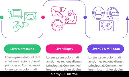 Liver testing vector infographic template Stock Vector