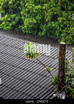 The rain fell on the old tile roof Stock Photo