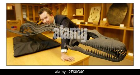 Luke Honey, Head of the Rare and Decorative Fossils, Rocks, Minerals and Meteorite with A 3m. long Fossilised PLESIOSAUR found Lyme Regis (205 Million years old) will be auctioned at Bloomsbury auctions in London in the Rare and Decorative Fossils, Rocks, Minerals and Meteorites auction on Monday 12 Dec 2005. est  30000- 50000pic David Sandison 12/12/2005 Stock Photo