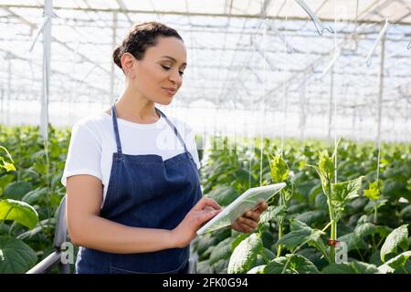 smiling african american farmer in apron using digital tablet in greenhouse Stock Photo