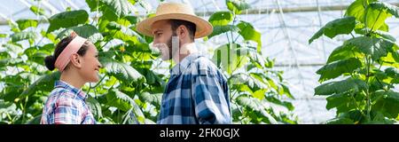 side view of smiling interracial farmers talking in greenhouse, banner Stock Photo