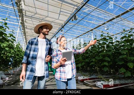 joyful african american farmer pointing at green plants near smiling colleague Stock Photo