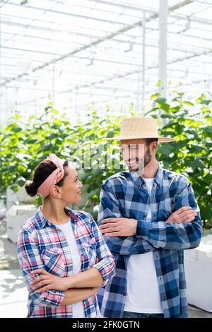 cheerful interracial farmers smiling at each other while standing with crossed arms in glasshouse Stock Photo