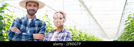 happy interracial farmers in plaid shirt smiling at camera in glasshouse, banner Stock Photo