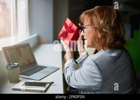 Profile photo of pleased woman looking at laptop Stock Photo