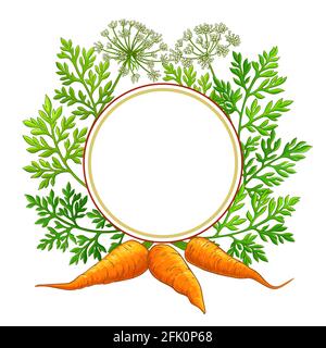 carrot frame on white background Stock Vector