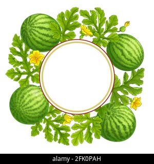 watermelon frame on white background Stock Vector
