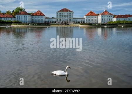 Swan in pond near Nymphenburg Palace. Munich, Bavaria, Germany Stock Photo