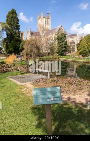 The Well Pools sluice gate in The Wells Garden at The Bishops Palace with Wells Cathedral in the background, Wells, Somerset, England, UK Stock Photo