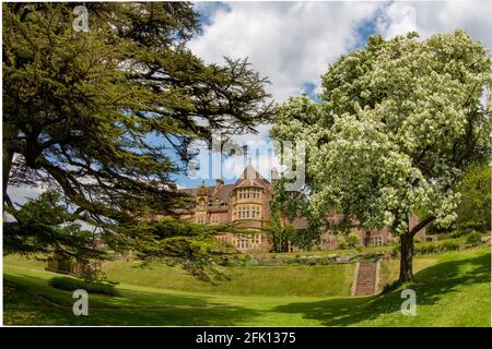 Looking up at Knightshayes National Trust House through flowering tress in the garden Stock Photo