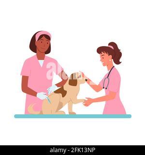 Patient dog appointments at veterinary clinic vector illustration Cartoon vet doctor women character in pink medical uniform working, holding dog Stock Vector