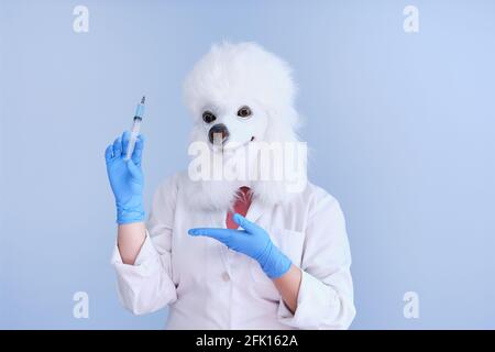 Young woman in a latex dog head mask and white coat holding a syringe on a blue background. Doctor medical veterinary concepts. Stock Photo