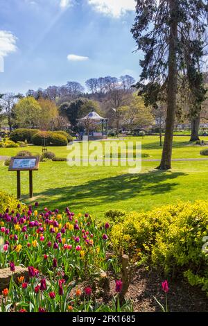 Pageant Gardens, Sherborne, Dorset UK on a warm sunny day in April - colourful tulips and bandstand during Covid 19 Coronavirus pandemic lockdown Stock Photo