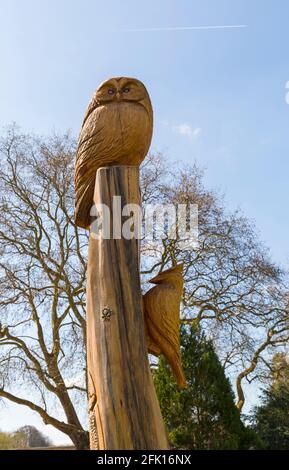 Pageant Gardens, Sherborne, Dorset UK in April - wooding carving with carved wooden owl sitting on tree trunk and wooden woodpecker on the side Stock Photo