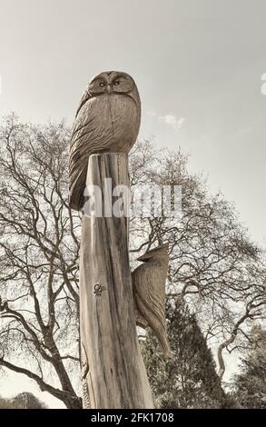 Pageant Gardens, Sherborne, Dorset UK in April - wooding carving with carved wooden owl sitting on tree trunk and wooden woodpecker on the side Stock Photo