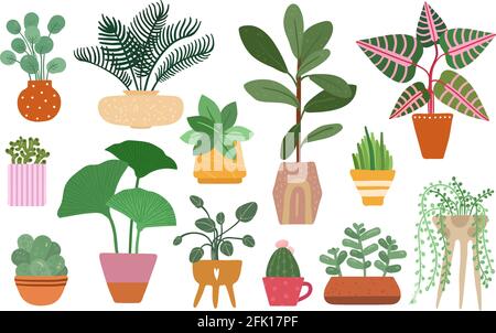 Home plants. Isolated plant in pot, planting ficus, yucca and fern. Tropical houseplant and succulents, indoor trees. Vector garden set Stock Vector