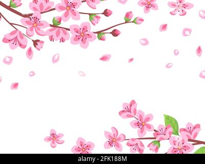 Cartoon japanese cherry blossom and falling petals background. Sakura ...